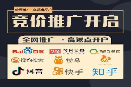 低成本高回报：百度竞价代理成功案例分析