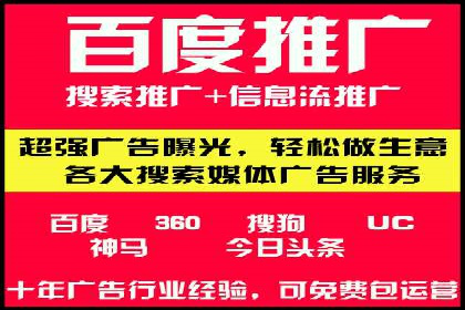 SEM主管实战：案例分析与优化策略